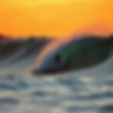 A surfer riding a majestic wave at sunset