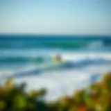 Ideal Surfing Location for Beginners A serene beach with gentle waves, perfect for novice surfers.