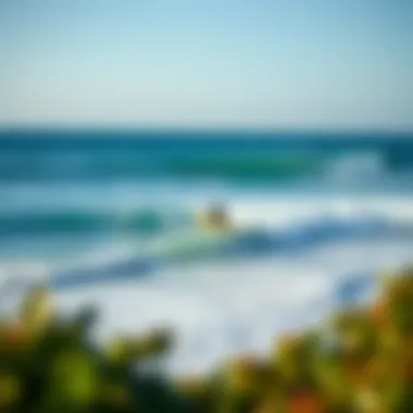 Ideal Surfing Location for Beginners A serene beach with gentle waves, perfect for novice surfers.