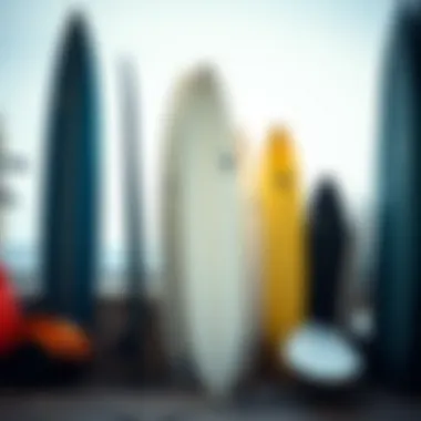 Choosing the Right Surfboard for Beginners A selection of surfboards showcasing different styles for beginners.