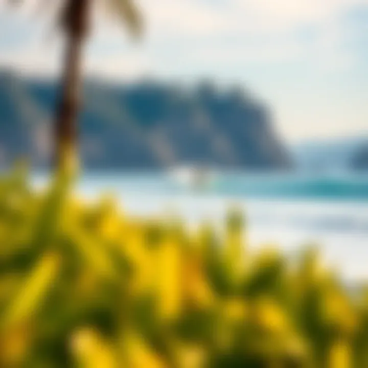 Surfing Vacation in California: A Comprehensive Guide Summary