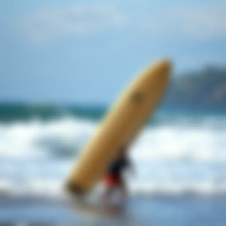 Notable The Comprehensive Guide to Double Surfboard Travel Bags