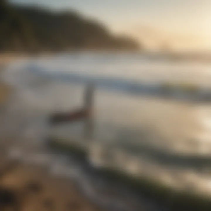 Illustration of surf fishing techniques being demonstrated at a beach.