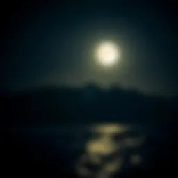 A stunning view of the moon illuminating the ocean waves at night