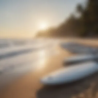 A tranquil beach scene featuring electric surfboards lined up on the shore