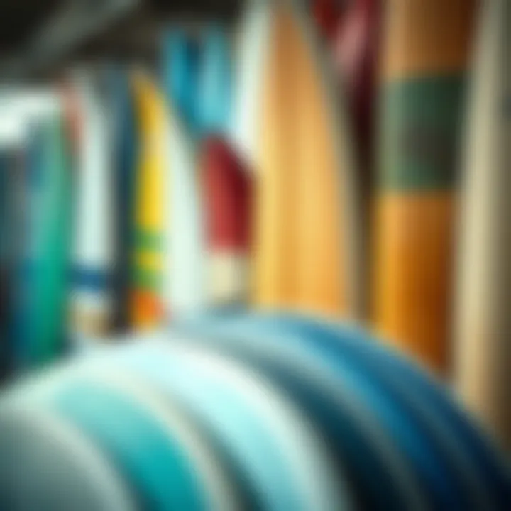 Variety of Surfboard Types Different surfboard types lined up