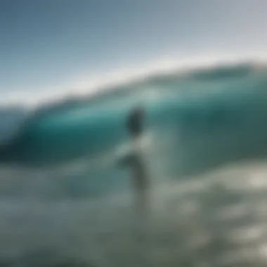 Surfboarders enjoying clean ocean waves