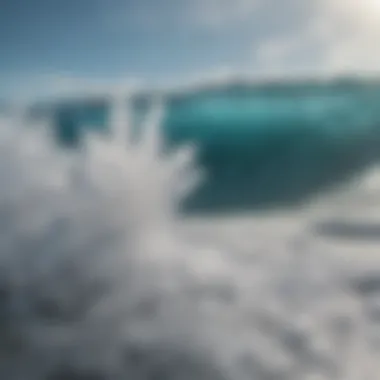 Close-up of ocean water with salt crystals and marine life