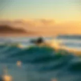 The Surfrider Foundation: A Commitment to Coastal Conservation Introduction