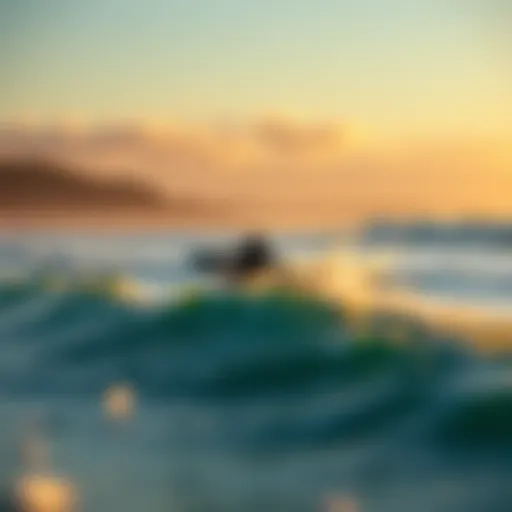The Surfrider Foundation: A Commitment to Coastal Conservation Introduction