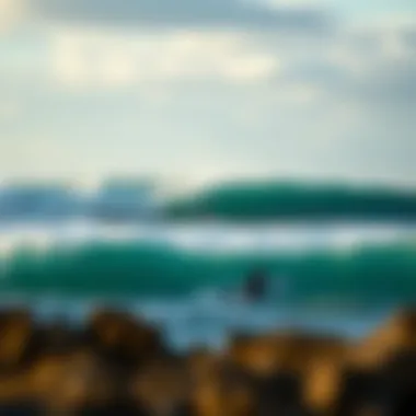 The Surfrider Foundation: A Commitment to Coastal Conservation Summary The Surfrider Foundation: A Commitment to Coastal Conservation Summary