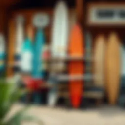 An array of surf racks displaying various designs and styles