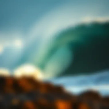 Protecting The Wedge: A Look at Environmental Impact Environmental considerations surrounding The Wedge and its ecosystem.