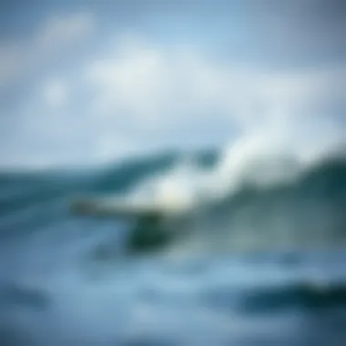 Thurso surfboard in action on the waves