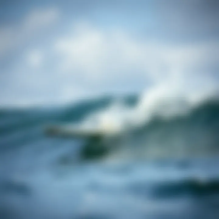 Thurso surfboard in action on the waves