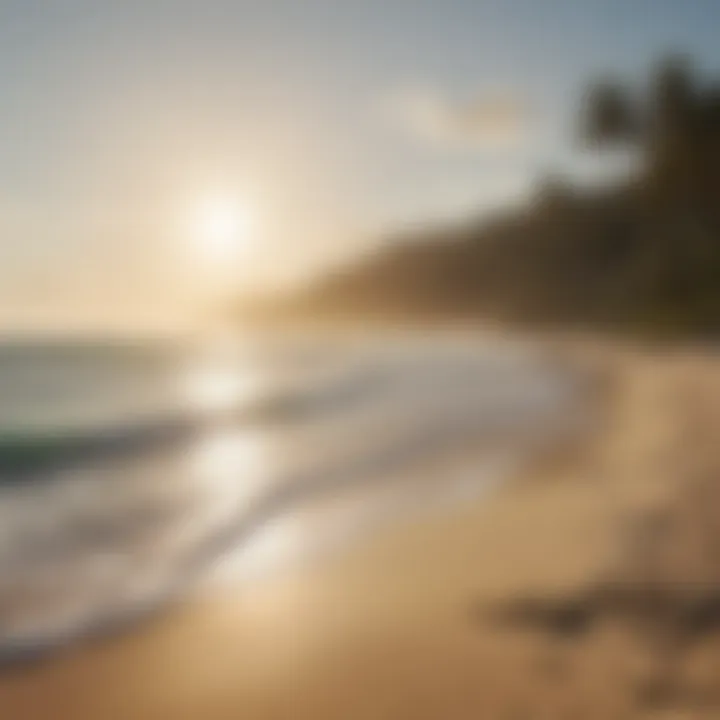 Scenic beach landscape with surfers and the ocean, highlighting sun protection