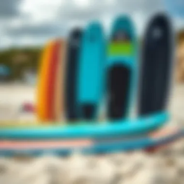 Different boogie board sizes displayed on the beach