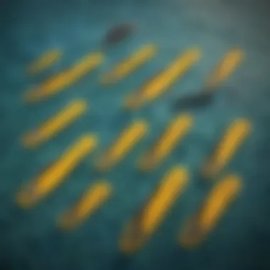 Comprehensive Size Chart for Finis Flippers Detailed guide to Finis flippers size chart