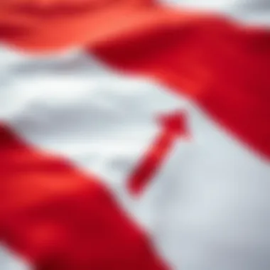 Detailed view of the design elements of a signal flag