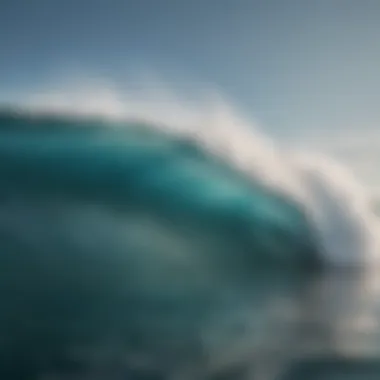 Impact of SST on Marine Biodiversity Visualization demonstrating the impact of SST on marine biodiversity