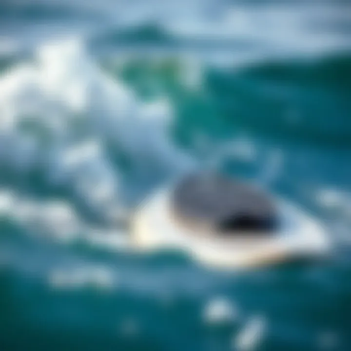 Surfboard with mounted traction pad in action on waves