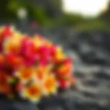 A vibrant lei made of assorted flowers, symbolizing Hawaiian traditions.