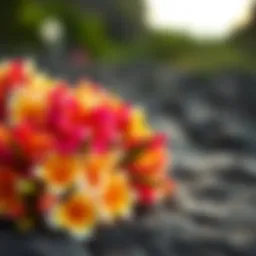 A vibrant lei made of assorted flowers, symbolizing Hawaiian traditions.