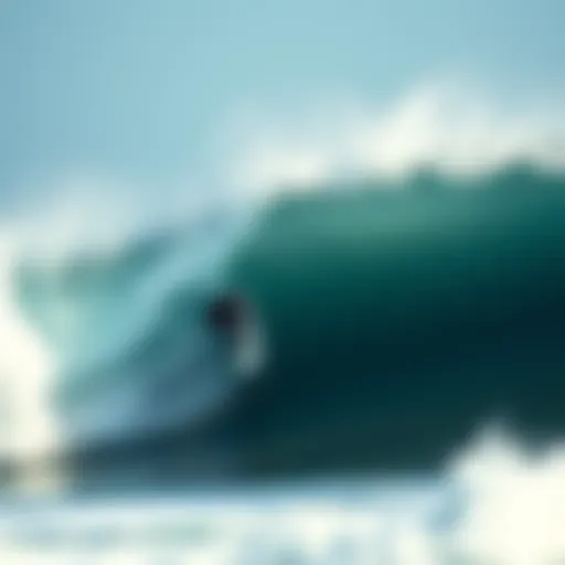 Understanding Today's Wind Direction: A Guide for Surfboard Enthusiasts Introduction