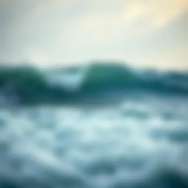 Notable Understanding Water Pollution: Ten Critical Facts