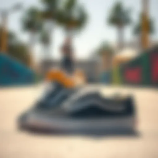 Vans classic skate shoes displayed on a vibrant skate park background