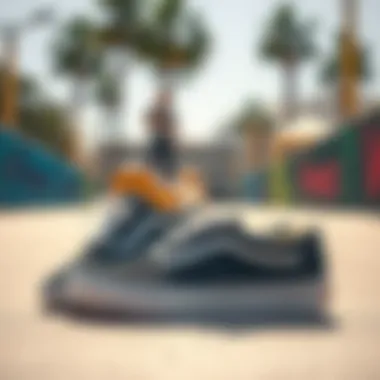 Classic Skate Shoes and Their Cultural Impact Vans classic skate shoes displayed on a vibrant skate park background