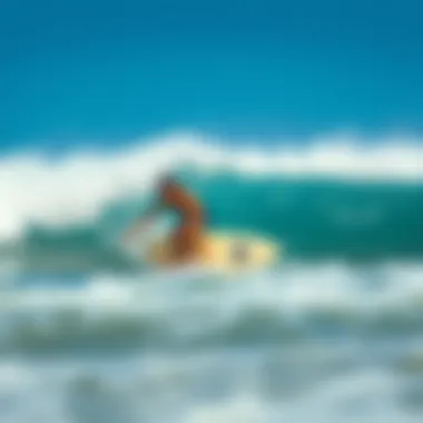 Surfboarding and Ocean Preservation Surfboarding community promoting ocean conservation