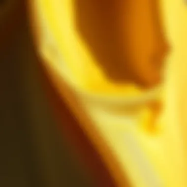 Close-up of fabric showcasing water-resistant material